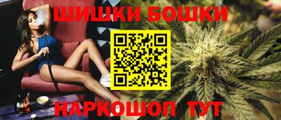 ешки Будённовск