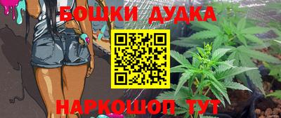 ешки Будённовск